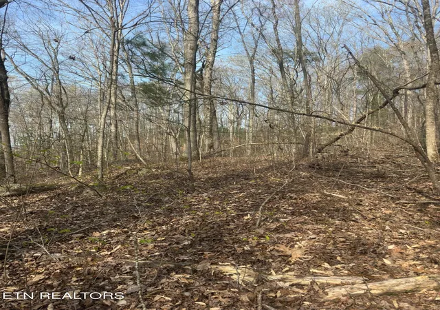 3rd image of 320 Frost Bottom Rd, Oliver Springs, TN 37840 | MLS# 1351359