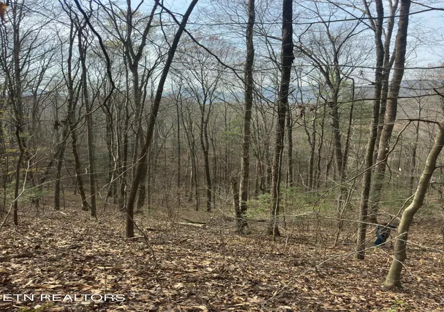 4th image of 320 Frost Bottom Rd, Oliver Springs, TN 37840 | MLS# 1351359