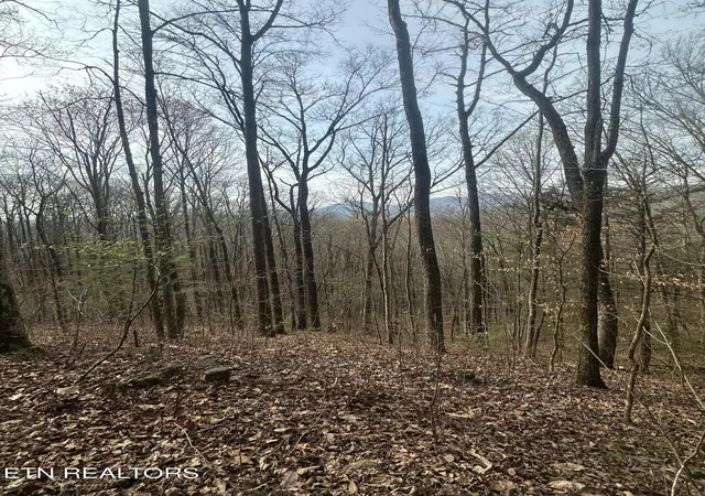 5th image of 320 Frost Bottom Rd, Oliver Springs, TN 37840 | MLS# 1351359