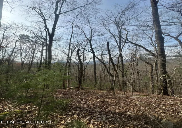 9th image of 320 Frost Bottom Rd, Oliver Springs, TN 37840 | MLS# 1351359