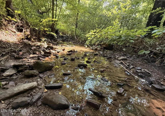 2nd image of 920 Left Poor Valley Rd, Pennington Gap, VA 24277 | MLS# 1351364