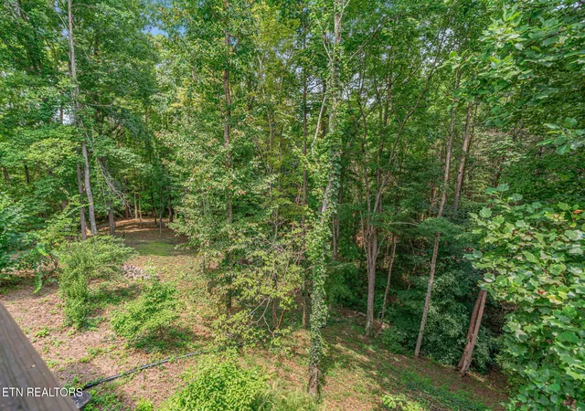 56th image of 414 Shaddon Rd, Tellico Plains, TN 37385 | MLS# 1352002
