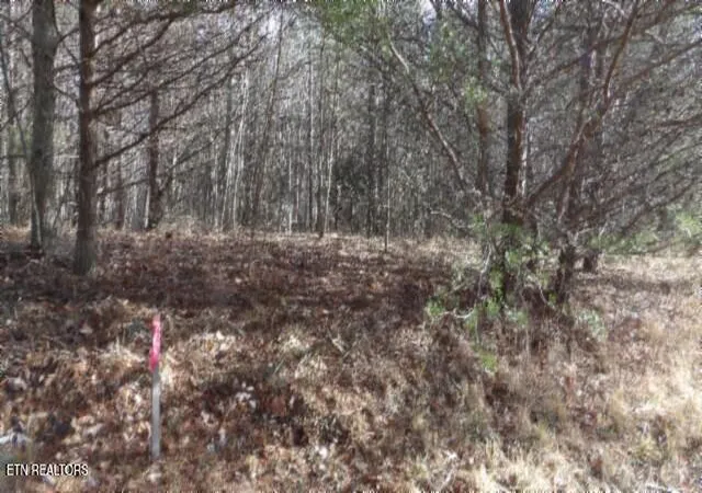 2nd image of Lot 185 Meadow Lane, Spencer, TN 38585 | MLS# 1351409