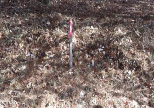 Photo 3 of Land for sale at Lot 185 Meadow Ln, Spencer, TN 38585 | MLS# 1351409 | Listing updated on 2026-08-11