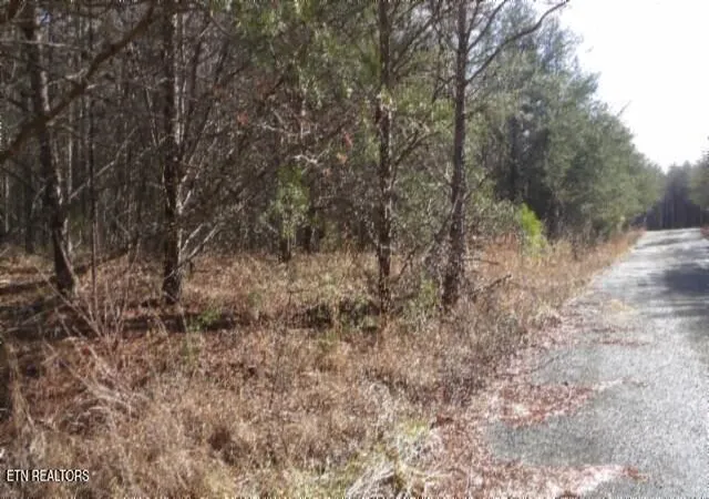 Photo 3 of Land for sale at Lot 185 Meadow Ln, Spencer, TN 38585 | MLS# 1351409 | Listing updated on 2026-08-11