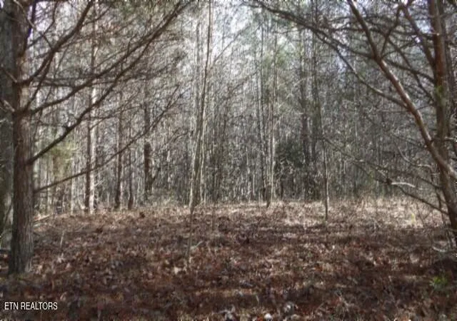 Photo 4 of Land for sale at Lot 185 Meadow Ln, Spencer, TN 38585 | MLS# 1351409 | Listing updated on 2026-08-11