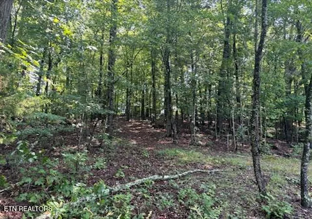 Photo 4 of Land for sale at Offutt Rd, Clinton, TN 37716 | MLS# 1351454 | Listing updated on 2026-08-13