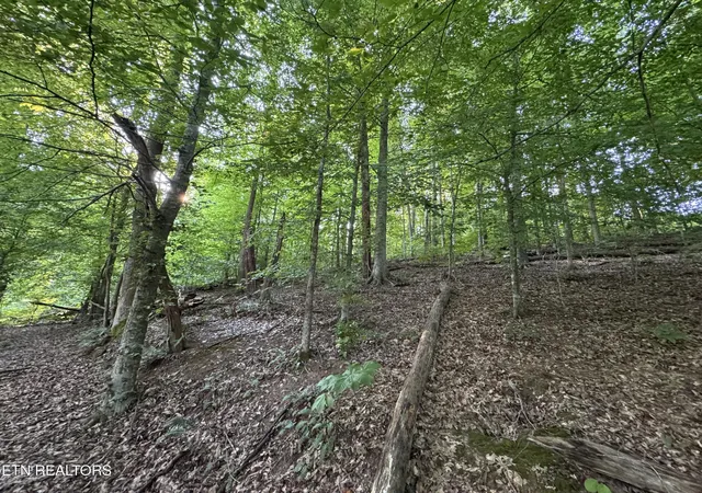 10th image of 2525 Woodland Reserve Ln, Knoxville, TN 37919 | MLS# 1351447