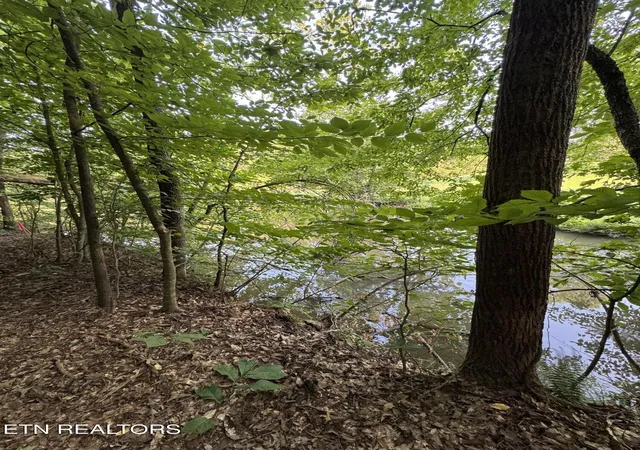 2nd image of 2525 Woodland Reserve Ln, Knoxville, TN 37919 | MLS# 1351447