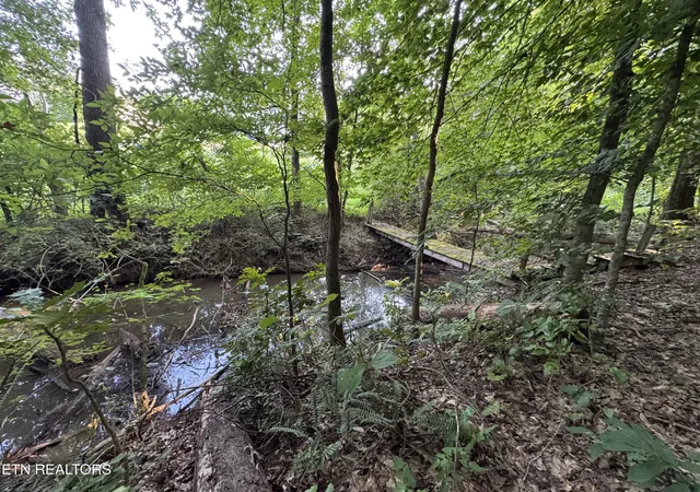 4th image of 2525 Woodland Reserve Ln, Knoxville, TN 37919 | MLS# 1351447