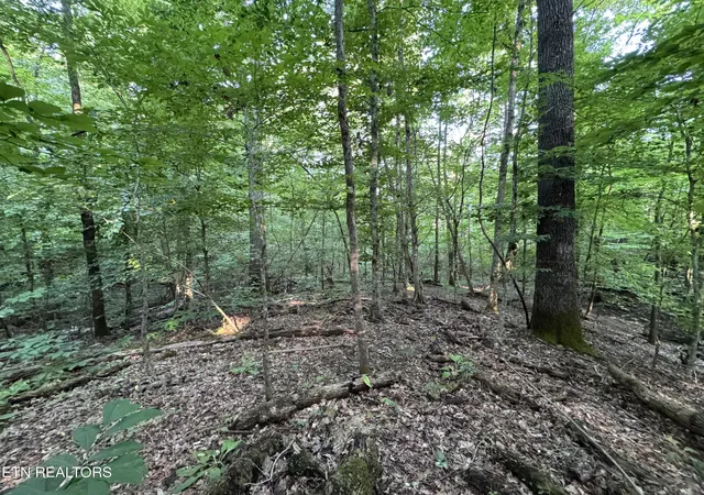 5th image of 2525 Woodland Reserve Ln, Knoxville, TN 37919 | MLS# 1351447