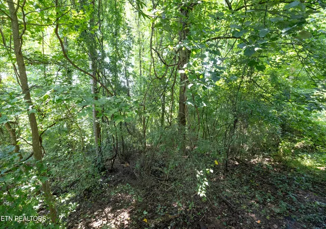15th image of 119 Kirby Ln, Rockwood, TN 37854 | MLS# 1351768