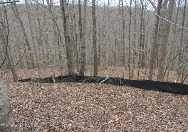 1st image of Lot 60 W Bobcat Lane, Wilder, TN 38589 | MLS# 1351438