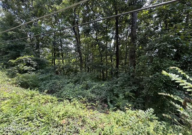 Photo 1 of Land for sale at 4636 Westover Ter, Knoxville, TN 37914 | MLS# 1351444 | Listing updated on 2026-09-10