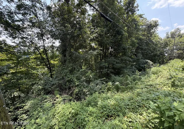 Photo 2 of Land for sale at 4636 Westover Ter, Knoxville, TN 37914 | MLS# 1351444 | Listing updated on 2026-09-10