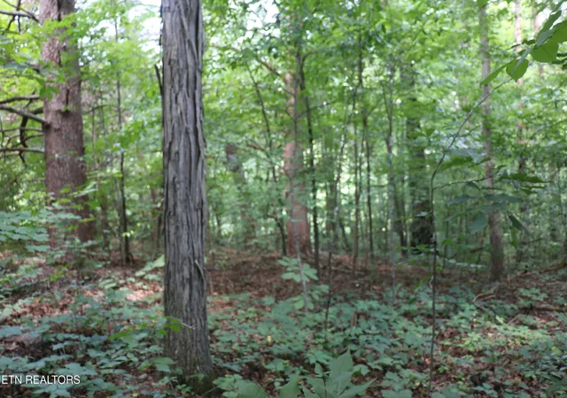 3rd image of Lot 1 County Road 892, Etowah, TN 37331 | MLS# 1351441
