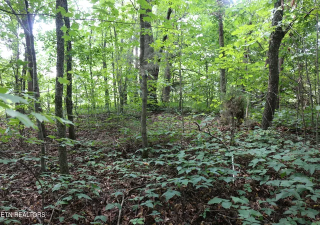 4th image of Lot 1 County Road 892, Etowah, TN 37331 | MLS# 1351441