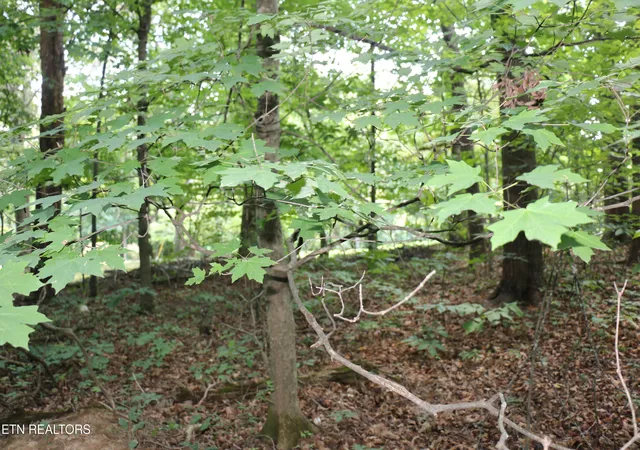 5th image of Lot 1 County Road 892, Etowah, TN 37331 | MLS# 1351441