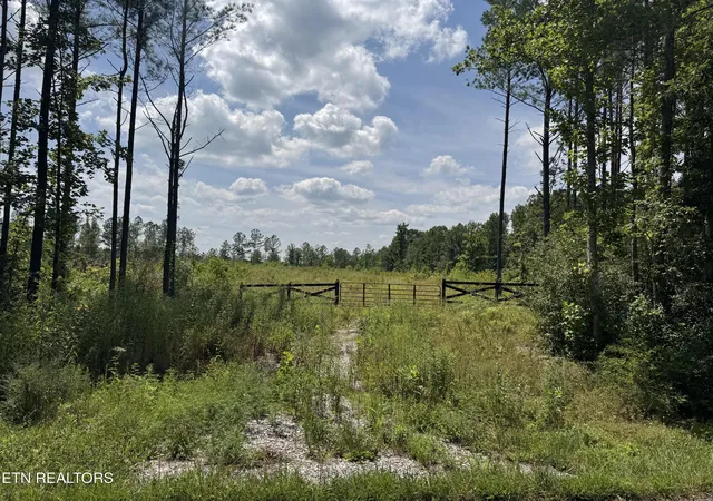 1st image of 0 Burrville Rd, Sunbright, TN 37872 | MLS# 1351520