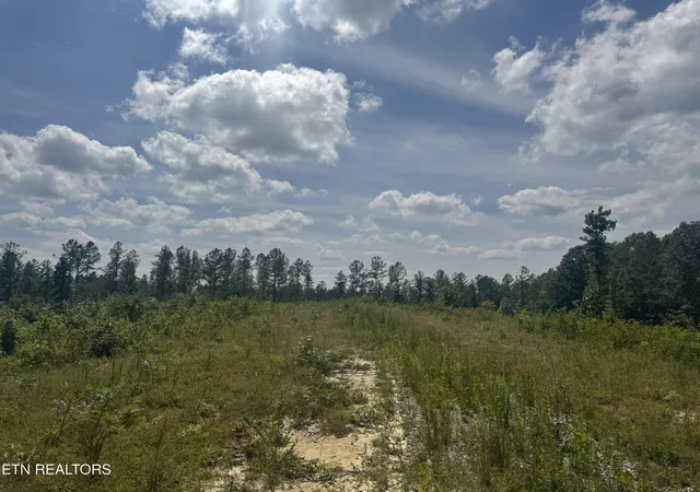 2nd image of 0 Burrville Rd, Sunbright, TN 37872 | MLS# 1351520