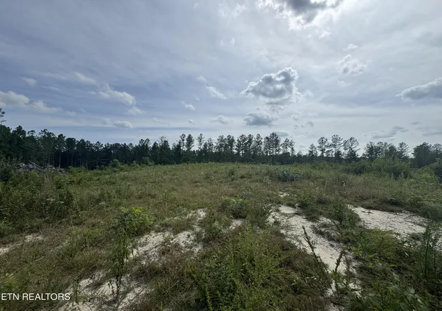 3rd image of 0 Burrville Rd, Sunbright, TN 37872 | MLS# 1351520