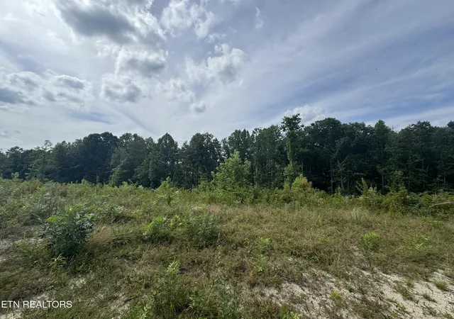 4th image of 0 Burrville Rd, Sunbright, TN 37872 | MLS# 1351520