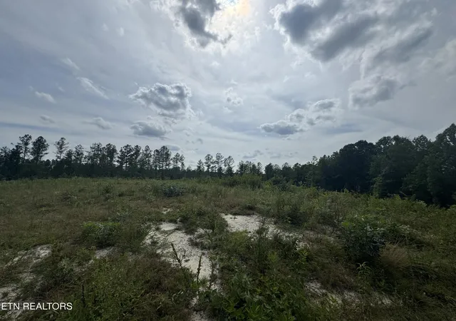 5th image of 0 Burrville Rd, Sunbright, TN 37872 | MLS# 1351520
