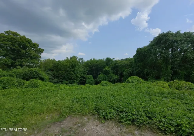 2nd image of 805 Beaman Lake Rd, Knoxville, TN 37914 | MLS# 1351527