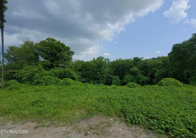 Photo 3 of Land for sale at 805 Beaman Lake Rd, Knoxville, TN 37914 | MLS# 1351527 | Listing updated on 2026-09-18