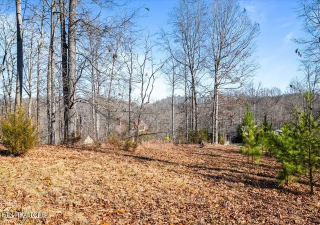 2nd image of Foxwood Dr, Caryville, TN 37714 | MLS# 1351484