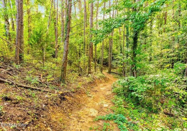39th image of 865 Cranes Camp Tr, Chattanooga, TN 37415 | MLS# 1352061
