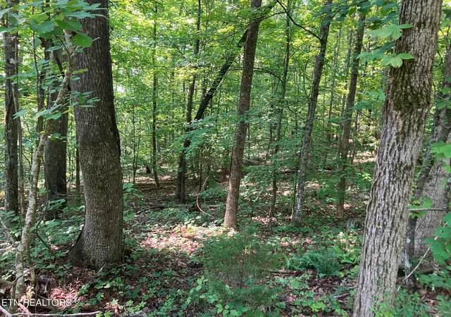 1st image of Lot 1 Tumbling Run Rd, Maynardville, TN 37807 | MLS# 1351504