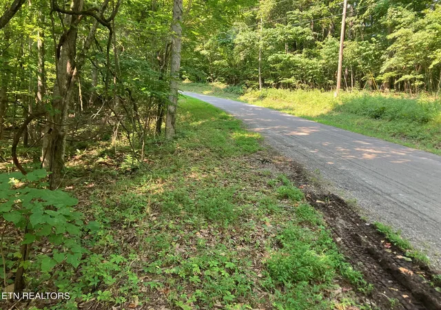 2nd image of Lot 1 Tumbling Run Rd, Maynardville, TN 37807 | MLS# 1351504