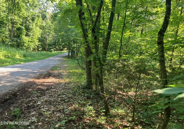 3rd image of Lot 1 Tumbling Run Rd, Maynardville, TN 37807 | MLS# 1351504