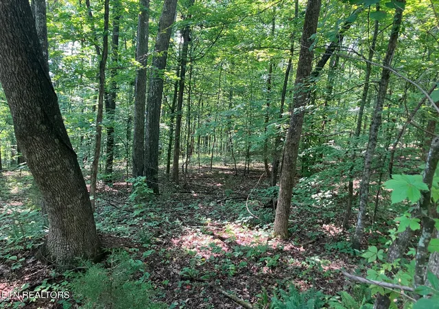4th image of Lot 1 Tumbling Run Rd, Maynardville, TN 37807 | MLS# 1351504