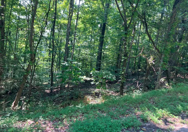 5th image of Lot 1 Tumbling Run Rd, Maynardville, TN 37807 | MLS# 1351504