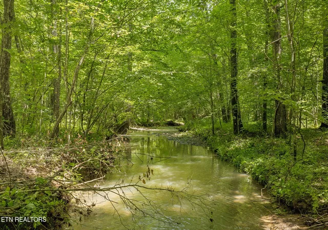 Photo 1 of Sale Pending at Nydeck Tract 4 Rd, Robbins, TN 37852 | MLS# 1351515 | Listing updated on 2026-09-02