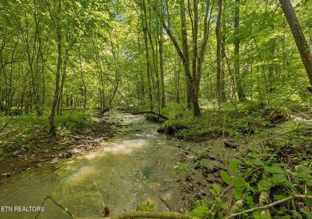 Photo 3 of Sale Pending at Nydeck Tract 4 Rd, Robbins, TN 37852 | MLS# 1351515 | Listing updated on 2026-09-02