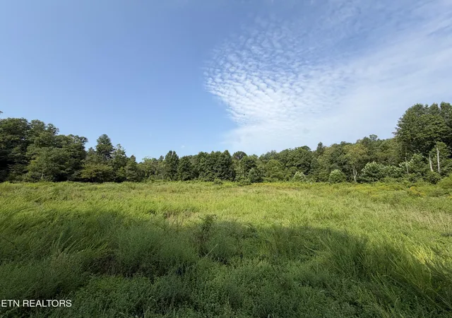 1st image of 14030 Ac Skull Creek Rd, Robbins, TN 37852 | MLS# 1351556