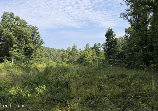 2nd image of 14030 Ac Skull Creek Rd, Robbins, TN 37852 | MLS# 1351556
