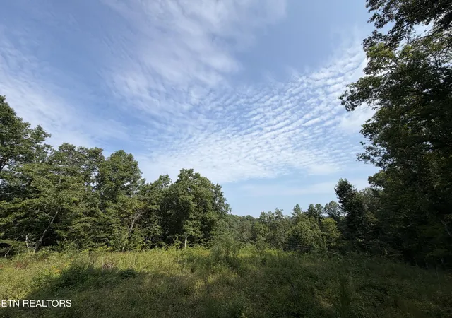 Photo 3 of Land for sale at 14030 Ac Skull Crk Rd, Robbins, TN 37852 | MLS# 1351556 | Listing updated on 2026-08-12