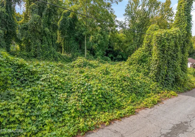 5th image of 2904 Sunset Ave, Knoxville, TN 37914 | MLS# 1351681