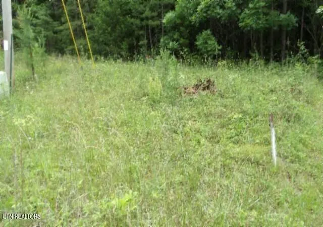 1st image of Lot 48 Parkstown Ext Rd, Wilder, TN 38589 | MLS# 1351522