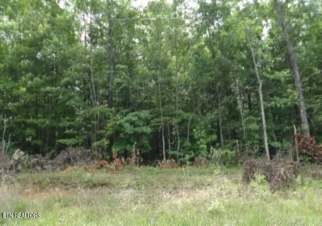 2nd image of Lot 48 Parkstown Ext Rd, Wilder, TN 38589 | MLS# 1351522