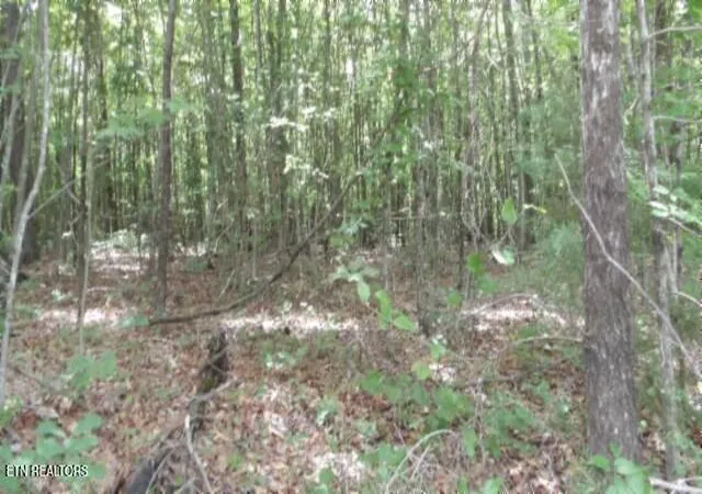5th image of Lot 48 Parkstown Ext Rd, Wilder, TN 38589 | MLS# 1351522
