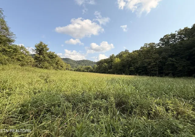 1st image of 000 Flower Gap Rd, Blackwater, VA 24221 | MLS# 1351603
