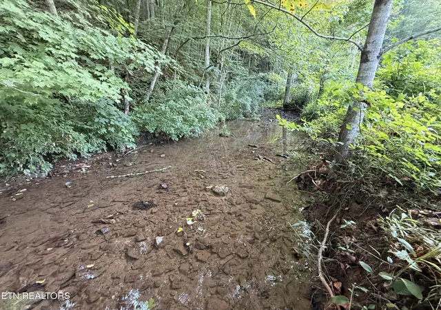 2nd image of 000 Flower Gap Rd, Blackwater, VA 24221 | MLS# 1351603