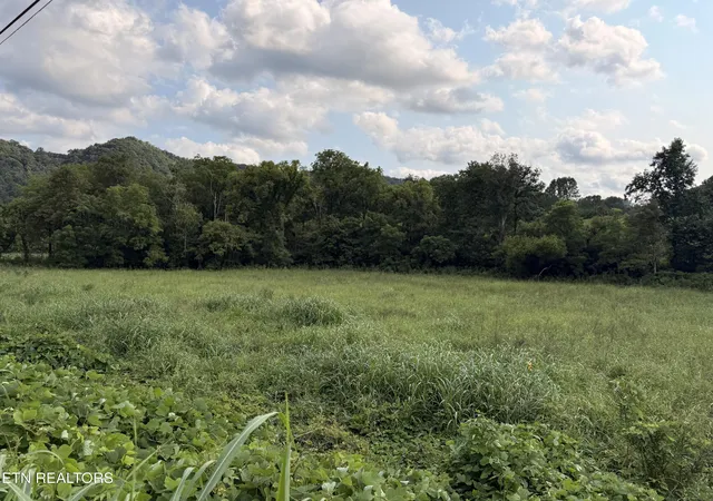 39th image of 000 Flower Gap Rd, Blackwater, VA 24221 | MLS# 1351603