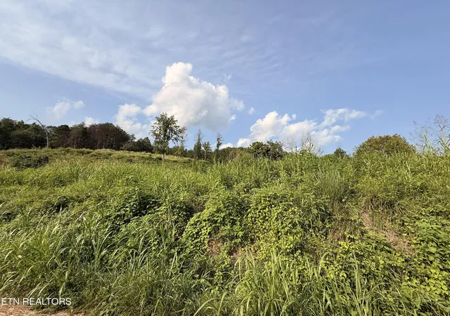 image of 000 Flower Gap Rd, Blackwater, VA 24221 | MLS# 1351603