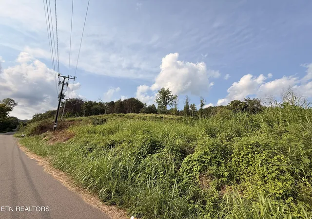 image of 000 Flower Gap Rd, Blackwater, VA 24221 | MLS# 1351603